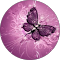 Boldiful