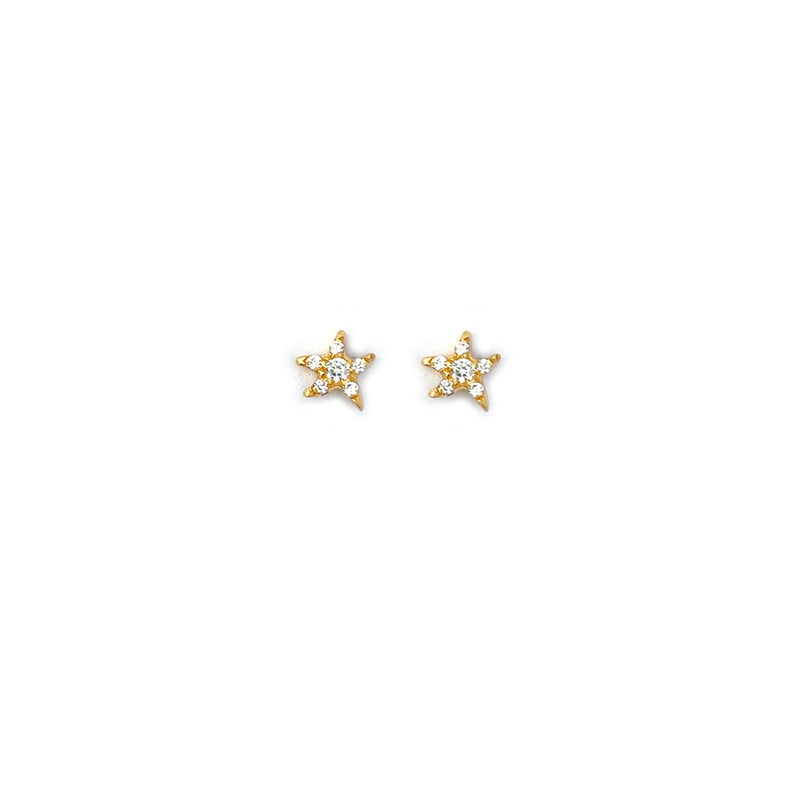 Starfish Silver Ear Studs