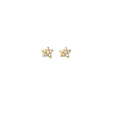 Starfish Silver Ear Studs