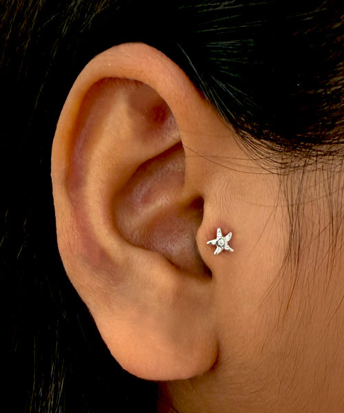 Tragus